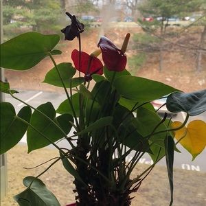 Meet your Posher, Deepthi